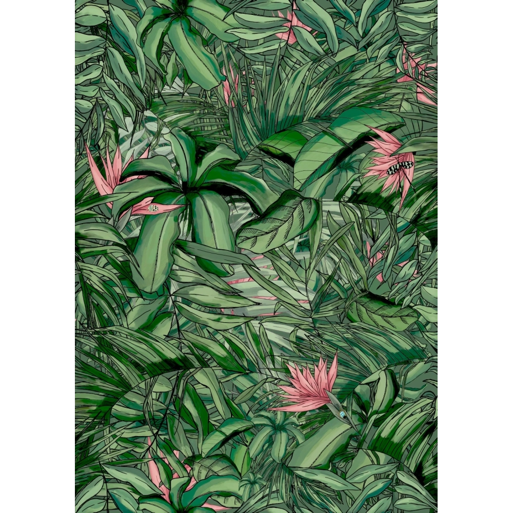 Tropical Forest Wallpaper Dark Green & Pink
