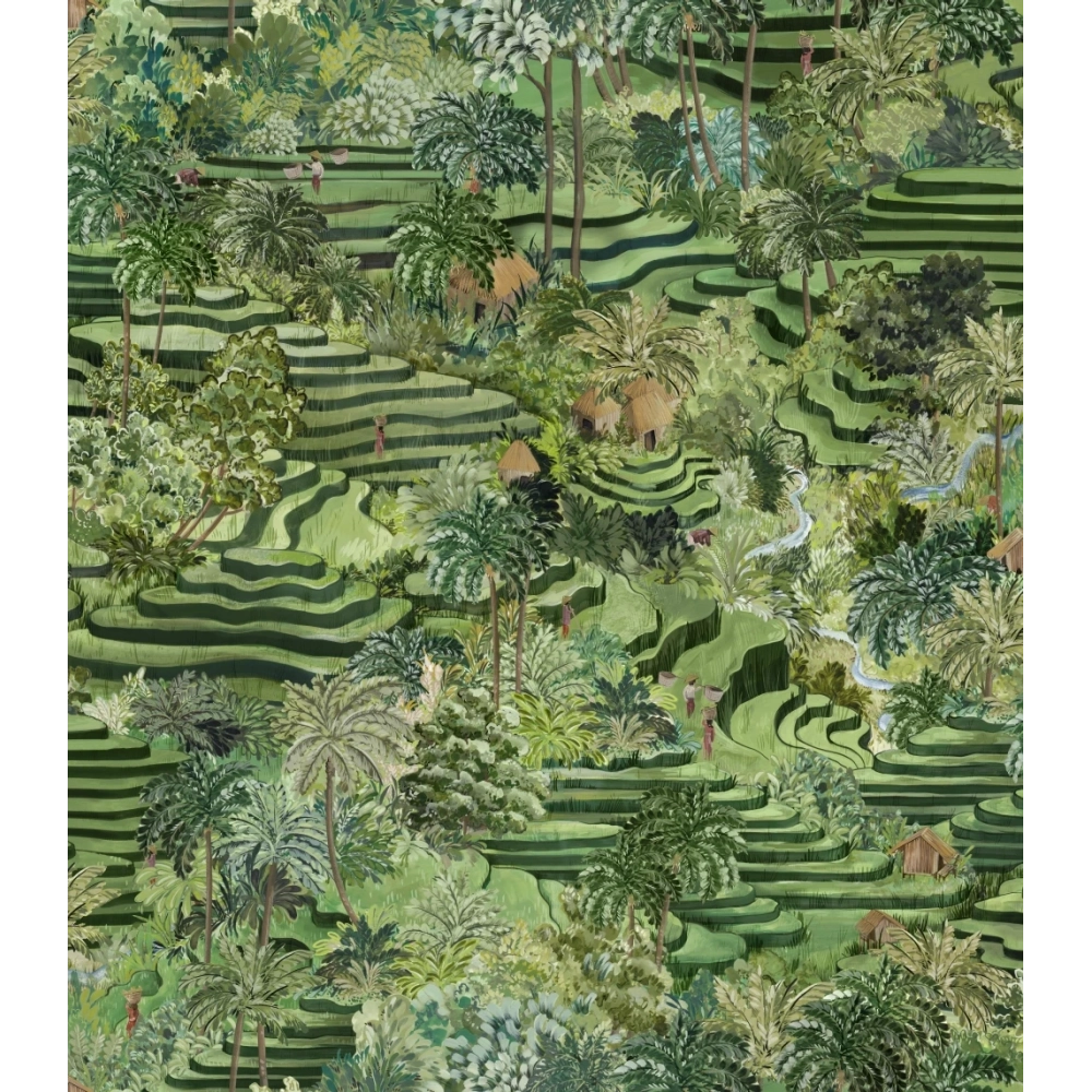 Rice Terrace Standard Wallpaper Grass Green