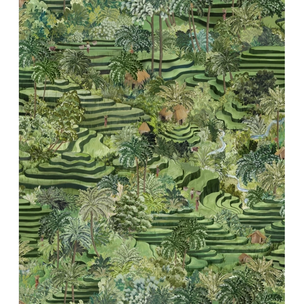 Rice Terrace Wallpaper Max Grass Green