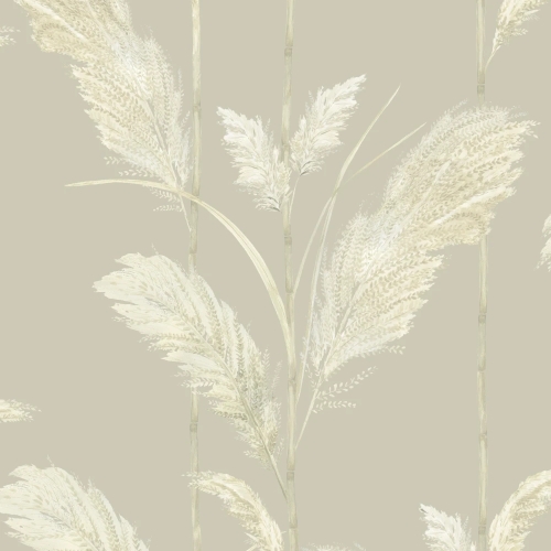 Pampas Grass Wallpaper Oatmeal