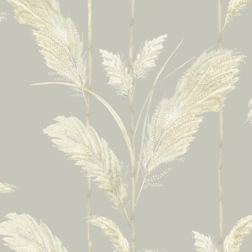 Pampas Grass Wallpaper Neutral Grey