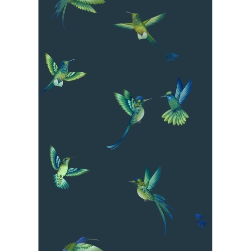 Exotic Birds Wallpaper Midnight Blue