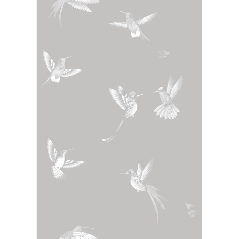 Exotic Birds Wallpaper Concrete Grey